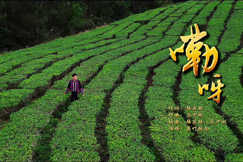 龍州本土原創壯語歌曲《嘞呀》踏春而來