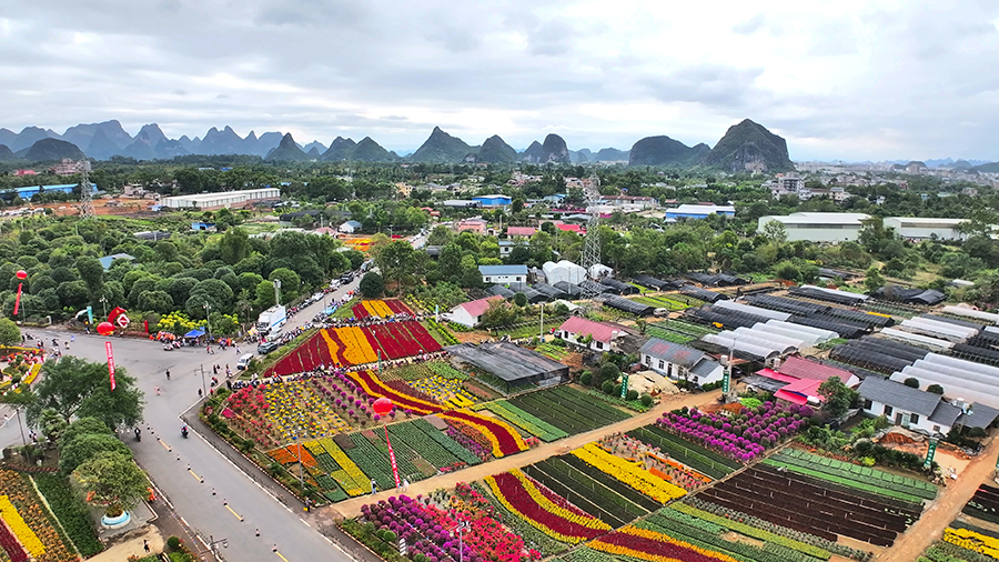 第三屆南方花卉苗木交易會在桂林開幕