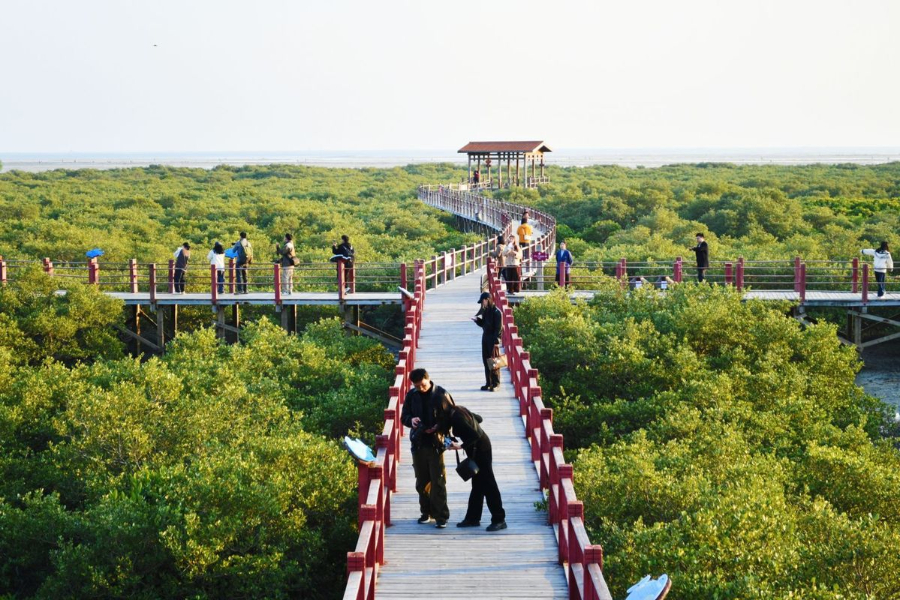 “云說壯美新風尚”網絡名人廣西行線下考察專題活動舉行