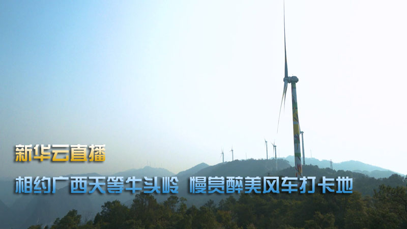 新華云直播|相約廣西天等牛頭嶺 慢賞醉美風車打卡地