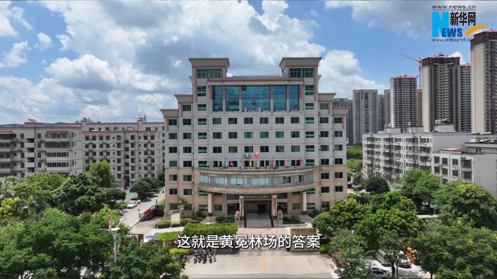 林場巡禮 | 黃冕林場：種好一棵樹 做好一杯茶