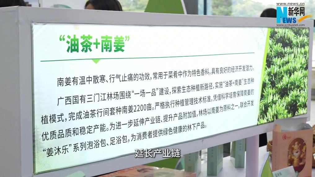 2025世界林木業大會｜廣西國有林場林下“寶藏”多