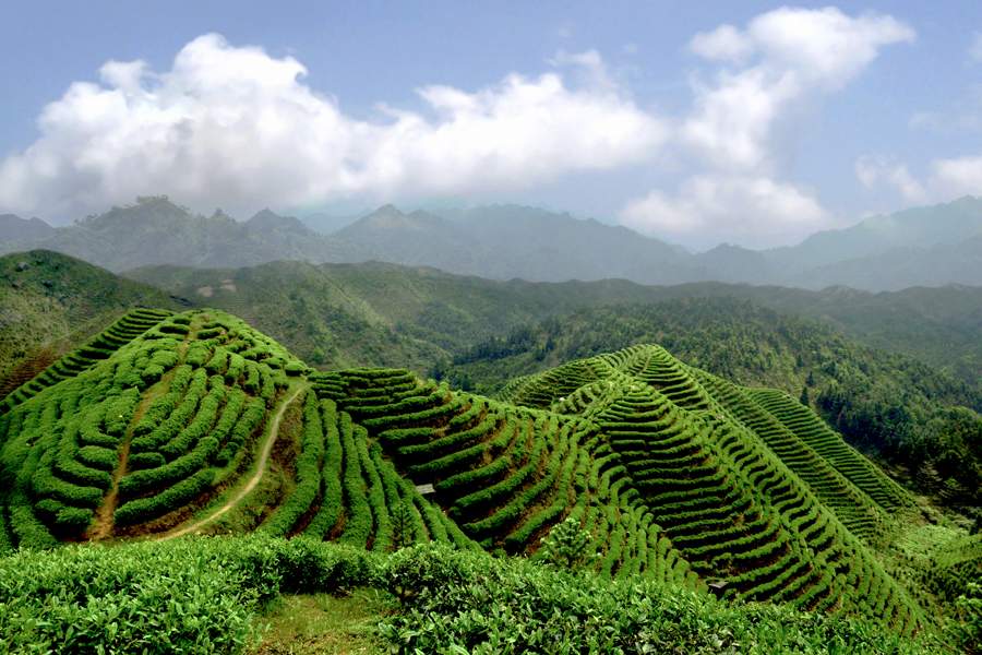 金秀六段村：以文旅為筆，傳統為色，描繪瑤寨新畫卷